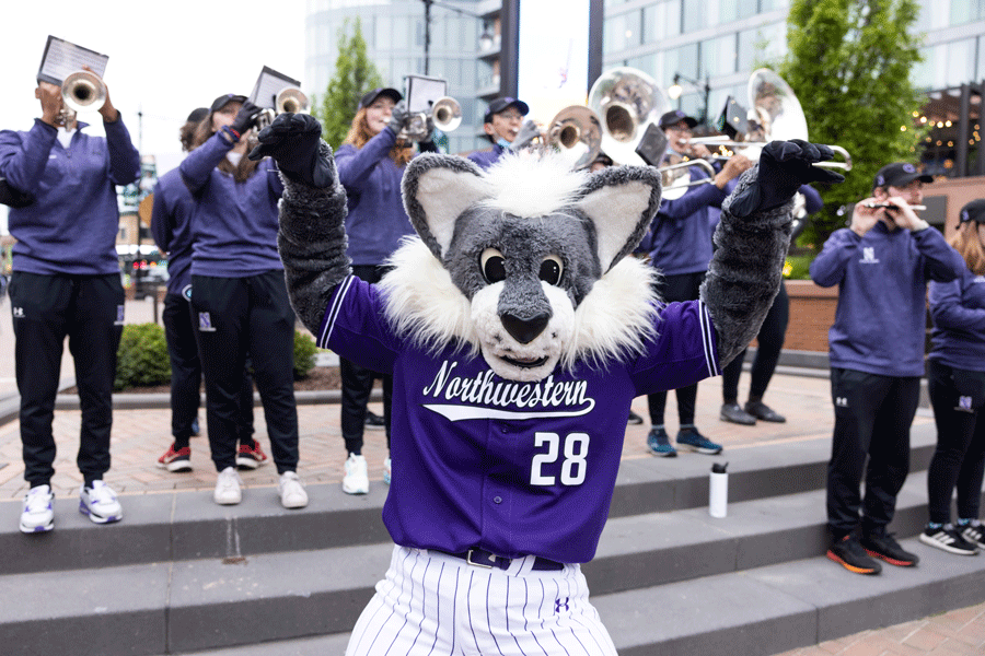Willie the wildcat at Wrigley Field