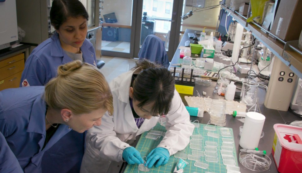Scientists in a lab