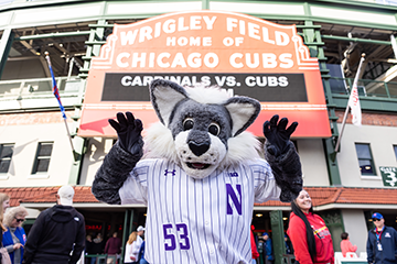 Northwestern mascot in front of Wrigley field